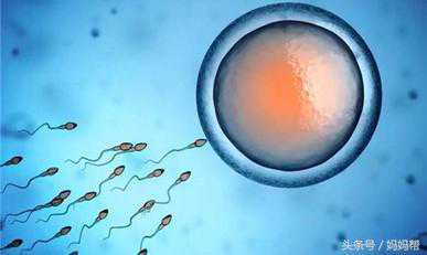 试管婴儿一次成功！经验分享