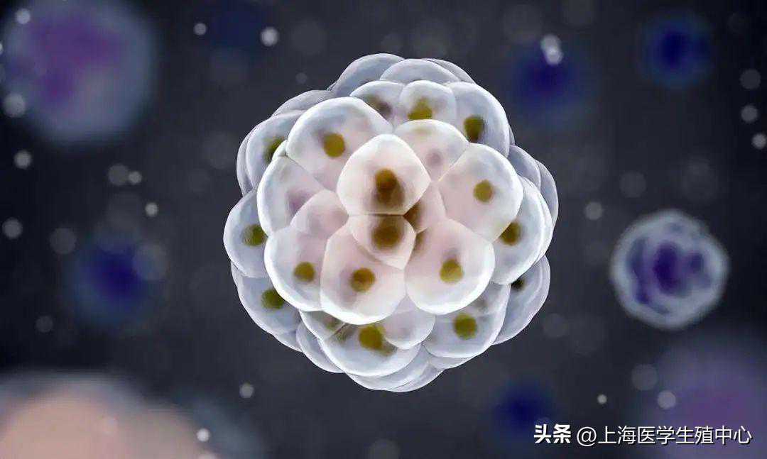 试管婴儿移植后出血，就“没戏”了吗？