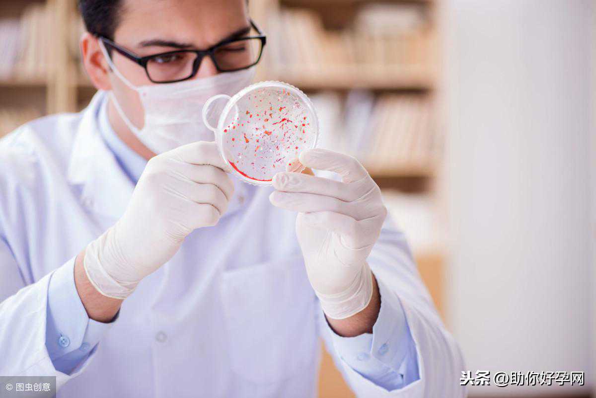 影响试管婴儿胎停“7个罪魁祸首” 