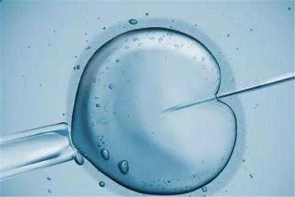 试管婴儿：取卵后出现腹水怎么办？