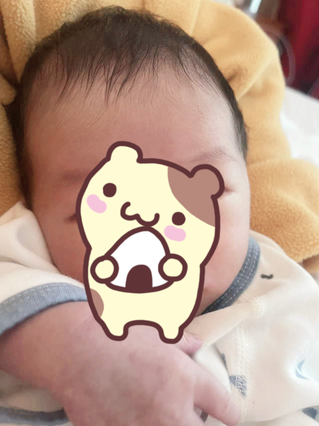 高龄又二婚，试管一着床就来找木木保胎