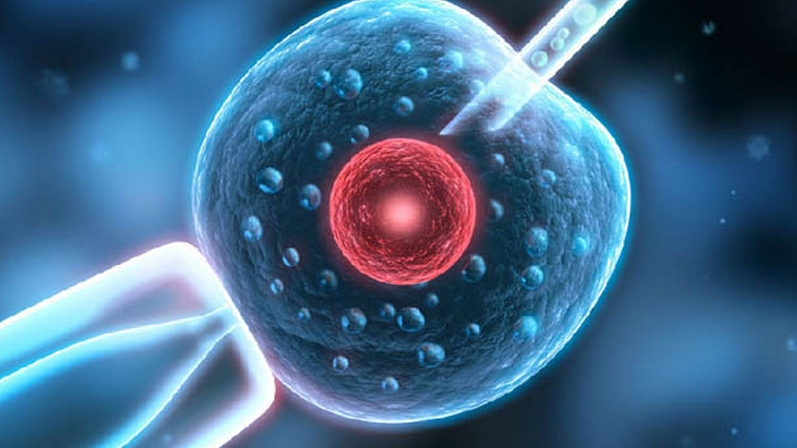 想要提高试管婴儿成功率？千万不要忽略这3点~