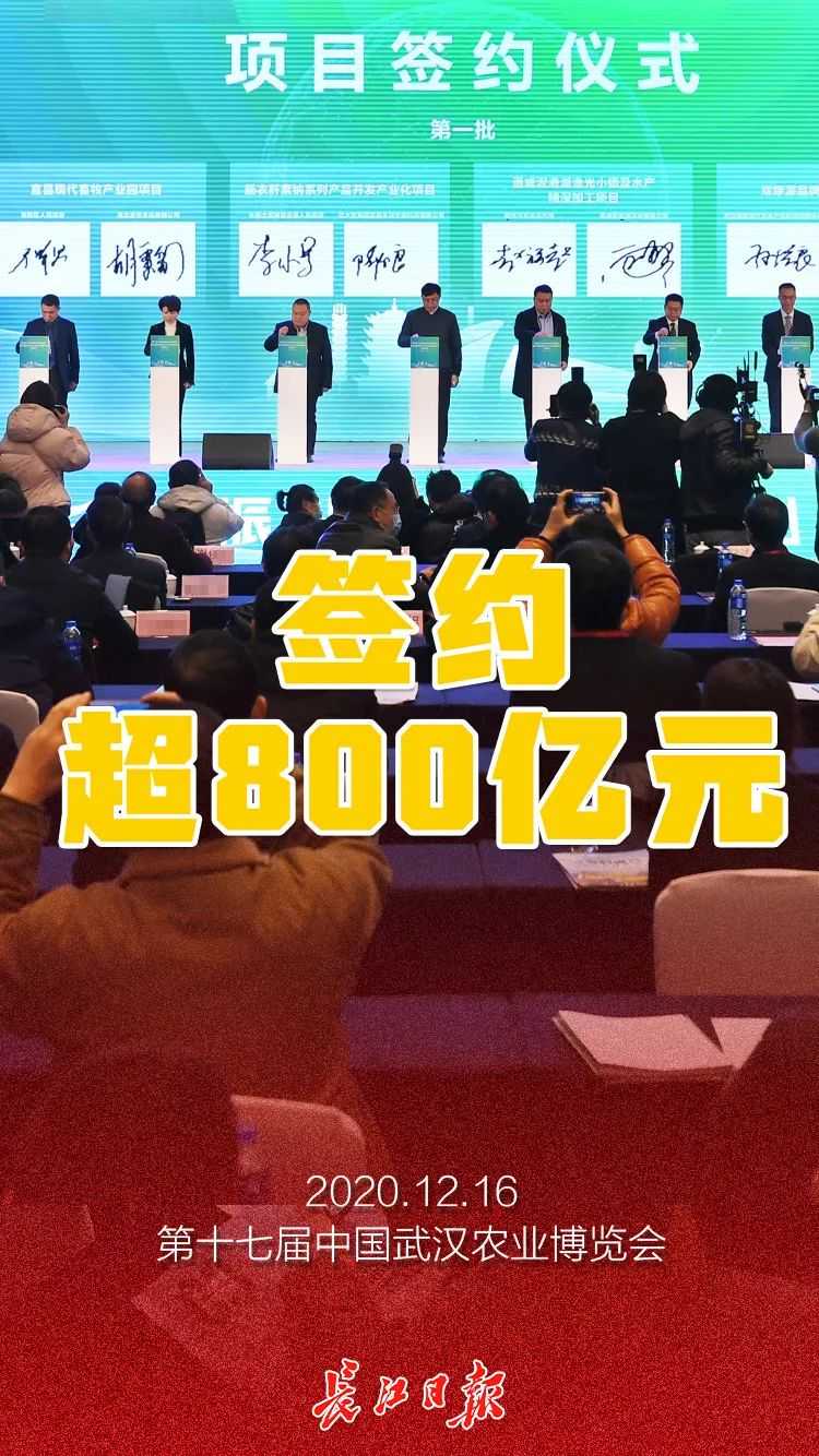 刚刚，武汉签约超800亿元，全球第一支试管藕亮了