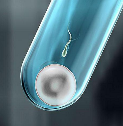 澳一专家建议放开试管婴儿性别选择 但“需审慎评估”