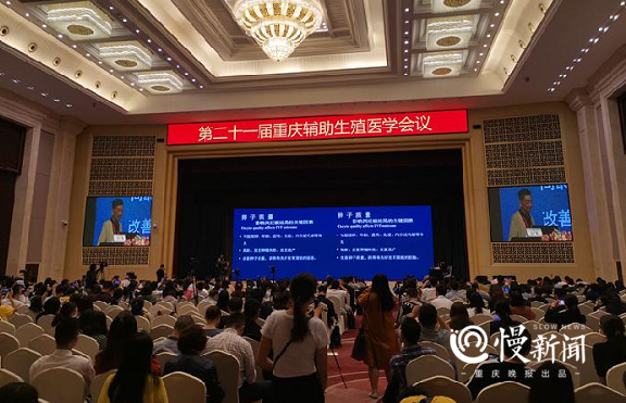 慢生活｜试管婴儿技术又有“黑科技”，将通过AI辅助筛选胚胎，准确率将达到70~80%