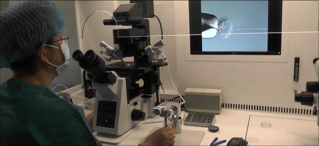 是爱 是暖 是希望-滇西南首例第二代试管婴儿在普洱市人民医院喜获成功