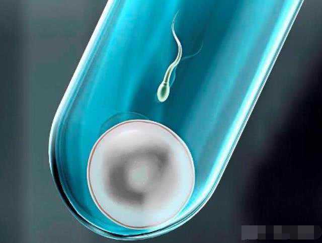 备孕很久没怀上，想做“试管婴儿”？那你也得先满足这5个条件！