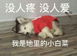 孕妇护肤篇：孕妈孕期的皮肤决定孩子的性别？网友：皮肤差生女孩