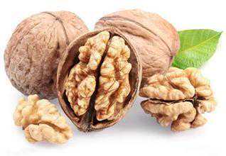 男性备孕期要多吃这些食物