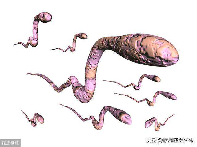 备孕期间，做到3件事，怀上孩子的几率更大