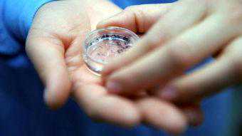 冷冻最长试管婴儿 借辅助生育技术圆了二胎梦