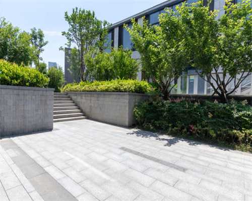 卵泡一天长1mm怎么办