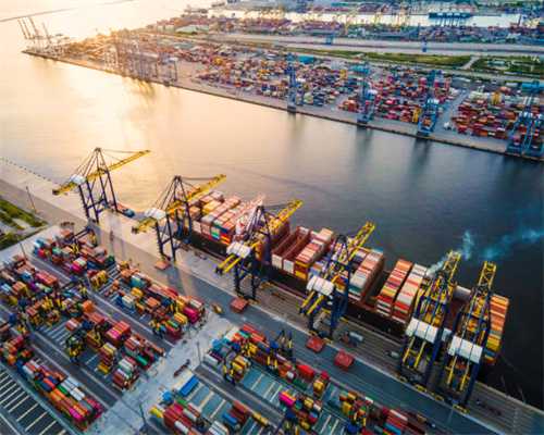 什么时候有胚胎胚心