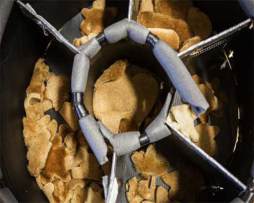 科学家使用微纳级3D打印技术帮助提高体外受精成功率