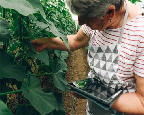 性激素六项之促黄体生成素（LH）知多少