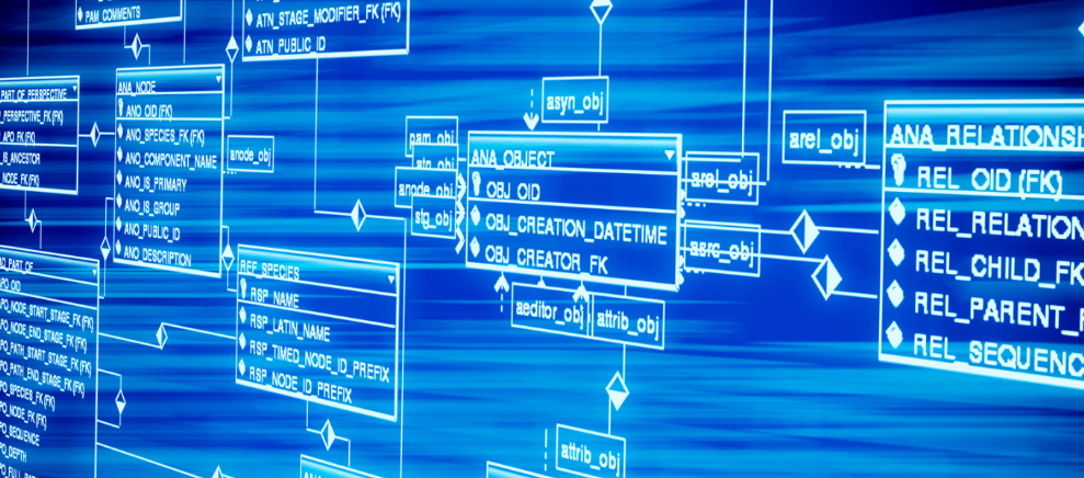 做试管婴儿为什么要查染色体