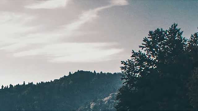 试管双胞胎风险比单胎大多少